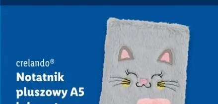 notatnik