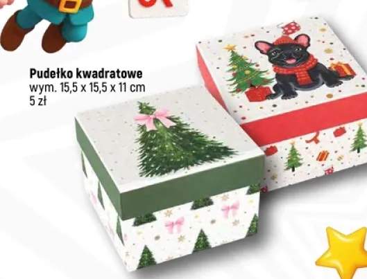 pudełko kartonowe