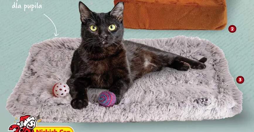 legowisko dla zwierząt