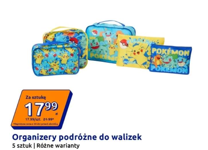 organizer podróżny